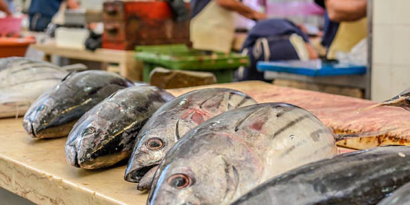 増毛郡にあるぐるめ食品水産工場